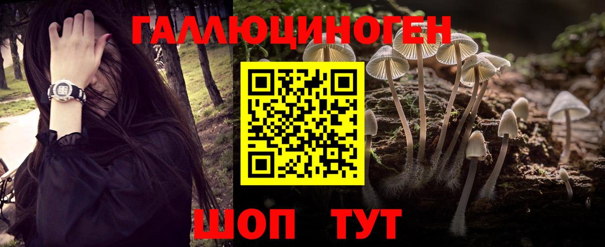 Псилоцибиновые грибы ЛСД  Вход с VPN  где продают наркотики  Асбест 