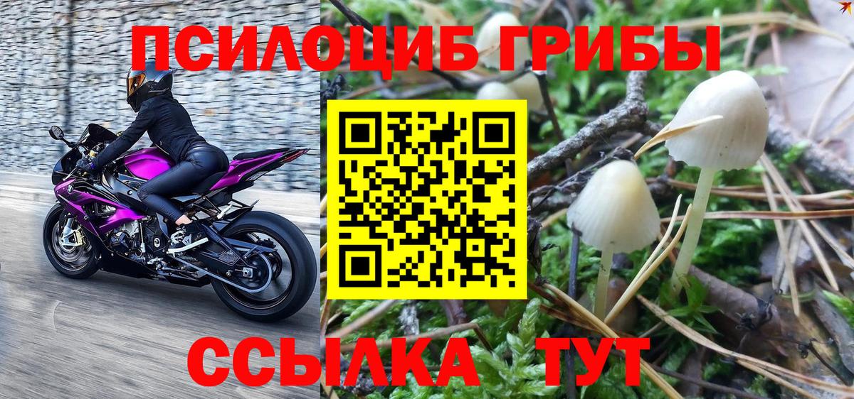 Псилоцибиновые грибы GOLDEN TEACHER Асбест